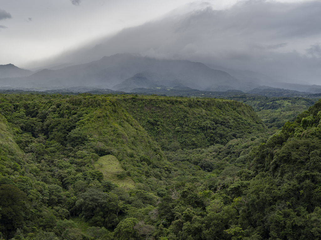 Donde se cultiva el cafe en Panama