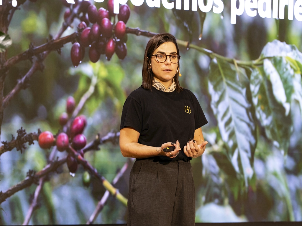 importancia de la composición mineral del agua en la extracción del café