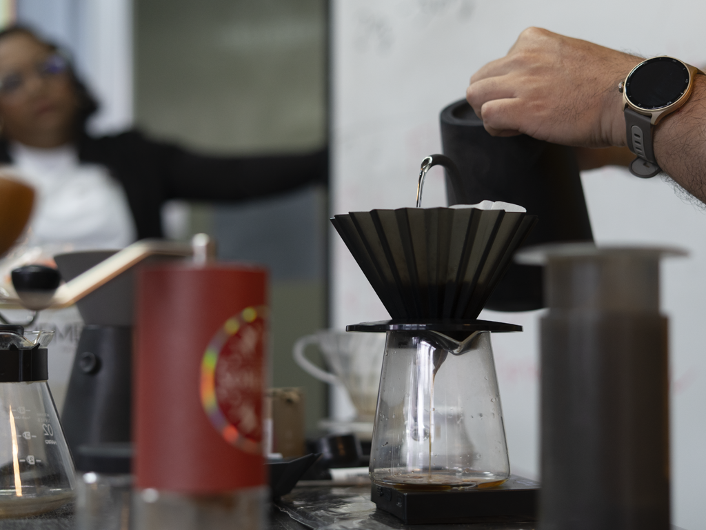 Como hacer un filtrado con Paola Meneses USMA