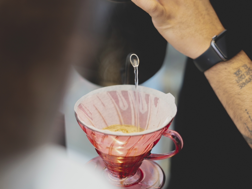 Norah en el coffee fest 2026