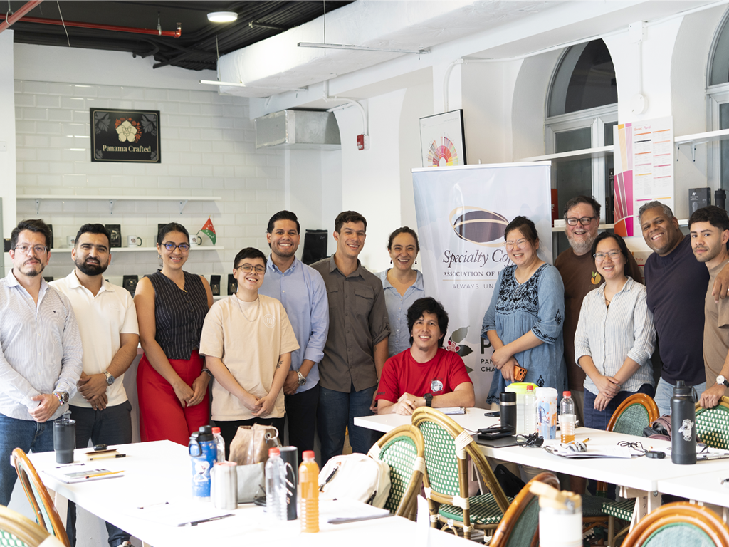 Profesionales del café para jueces de competencias en Panamá