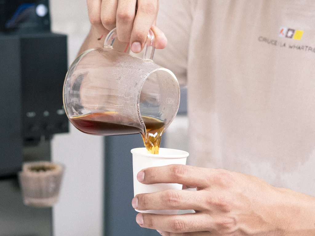 Cultura cafetera de Panamá el crecimiento en potencia del consumo de cafe de especialidad