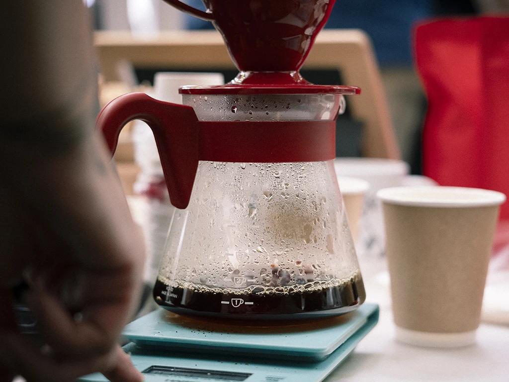 Cambios climáticos en Panamá y el café